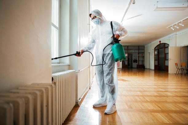 Best Termite Inspection and Treatment  in Benton Harbor, MI